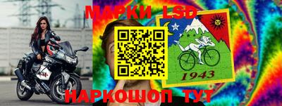 мяу мяу мука Нальчик