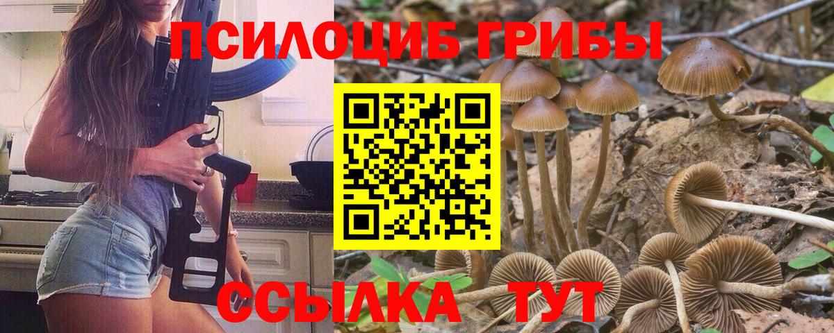 Рузаевка  Галлюциногенные грибы Magic Shrooms  хочу наркоту  Галлюциногенные грибы GOLDEN TEACHER  Вход с VPN 