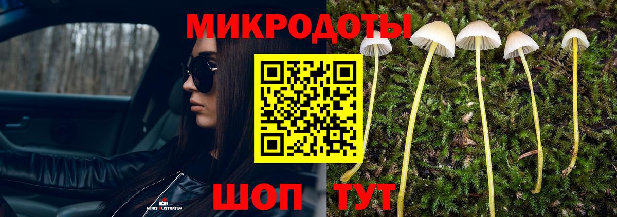 Псилоцибиновые грибы Psilocybine cubensis Рузаевка